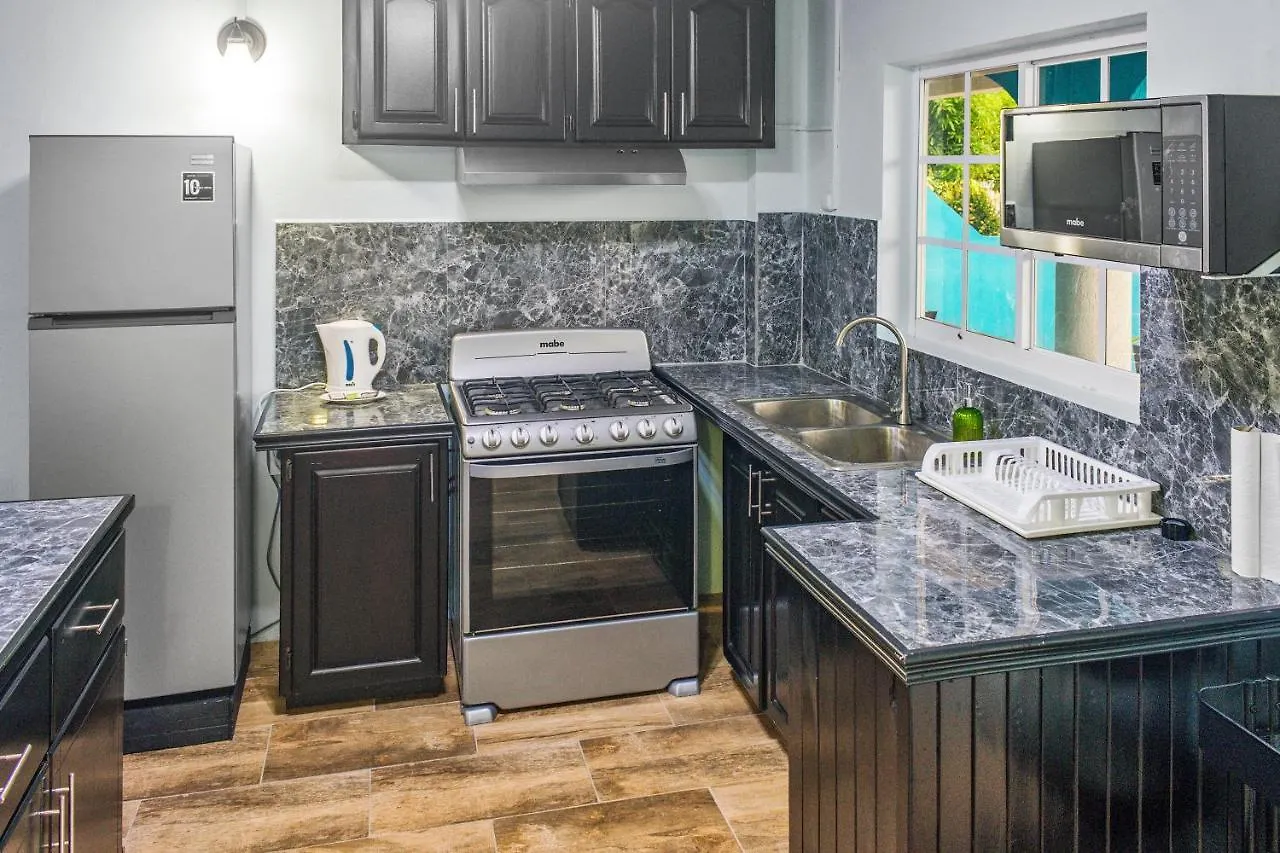 Apartment Villa De Cruz - Groovy Suite Scarborough Trinidad And Tobago